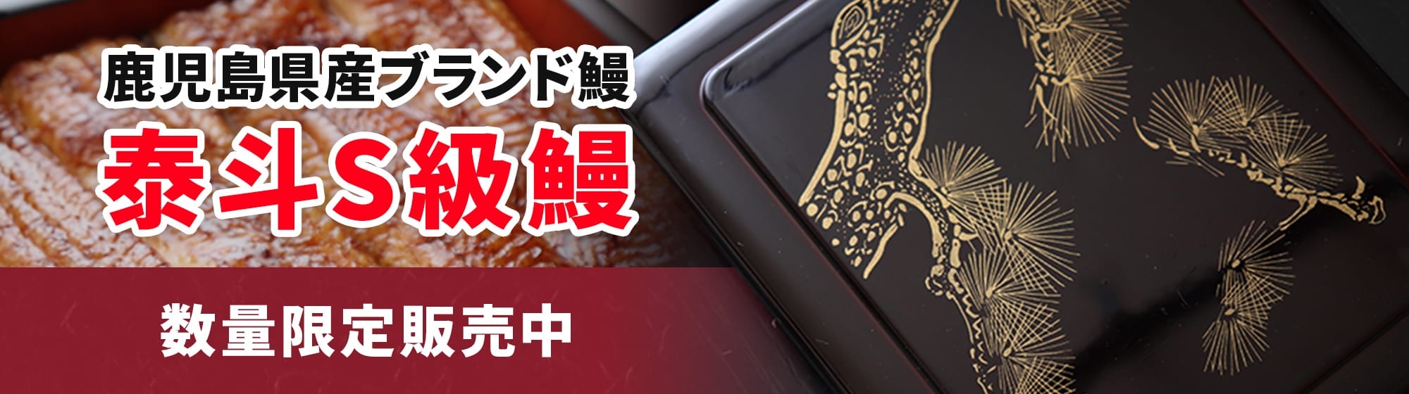 鹿児島県産ブランド鰻　泰斗S級鰻 数量限定販売中